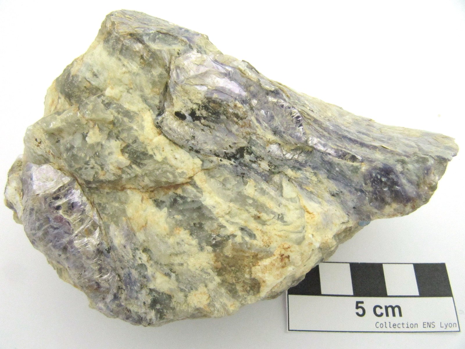 Lépidolite Cristaux de mica lithinifère dans une pegmatite    